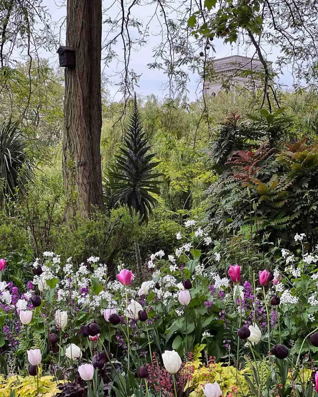 Parco di San Giacomo Parco di San Giacomo