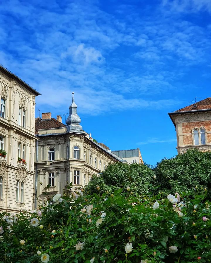 Erzsebetvaros, Budapest Erzsebetvaros, Budapest