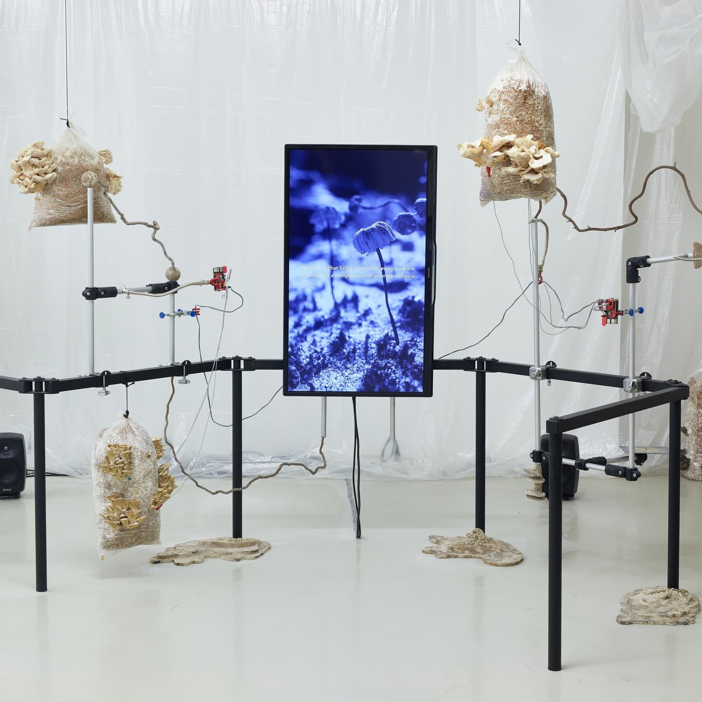 Ferencváros Ferencváros