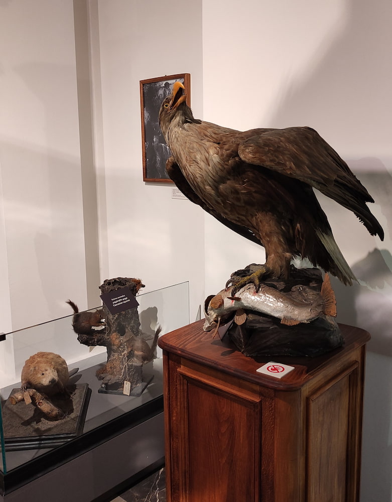 Museo Nazionale Georgiano Museo Nazionale Georgiano