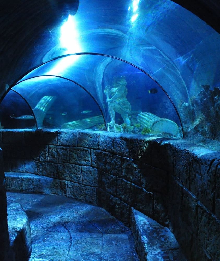 Sea Life Porto aquarium Sea Life Porto aquarium