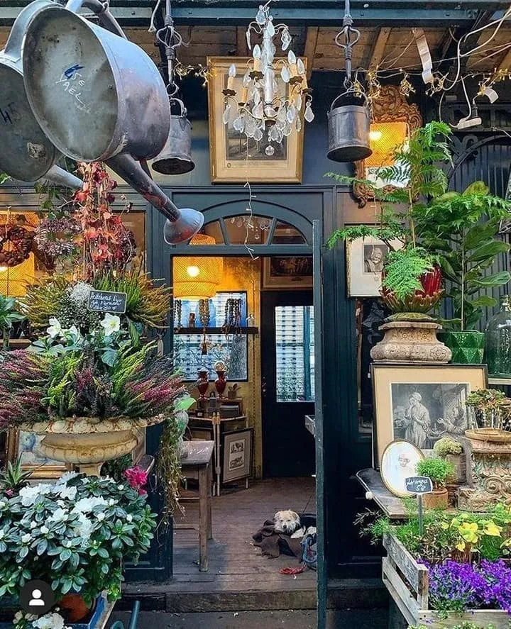 Isle of Cite, Parigi Isle of Cite, Parigi