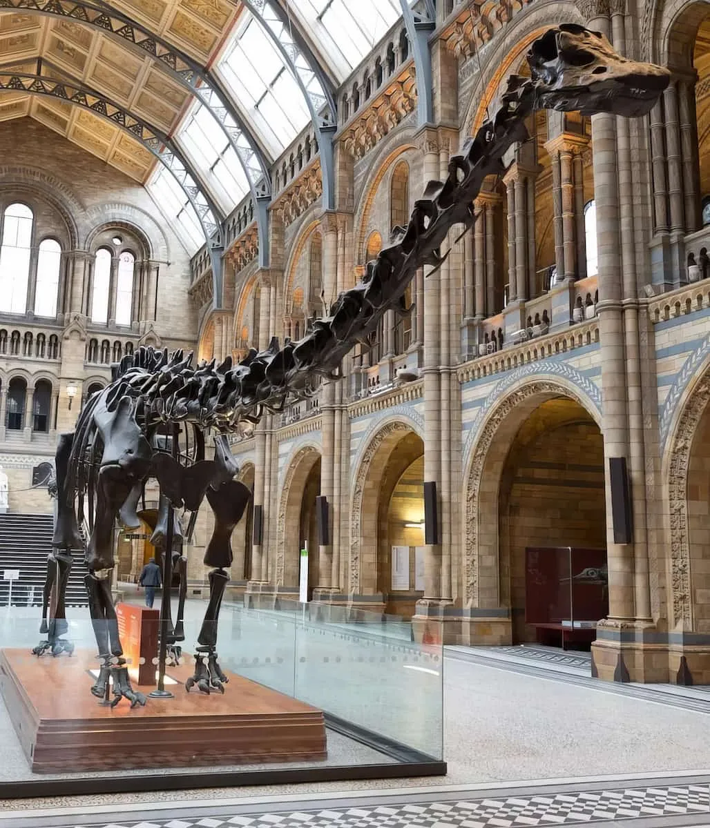 natural history museum london natural history museum london