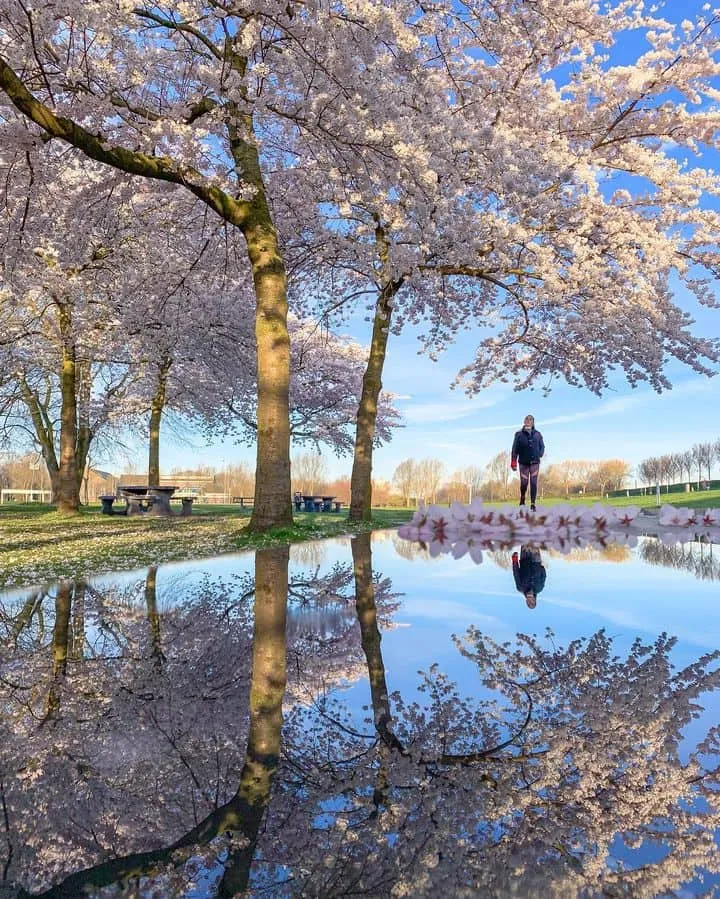 Westerpark Westerpark