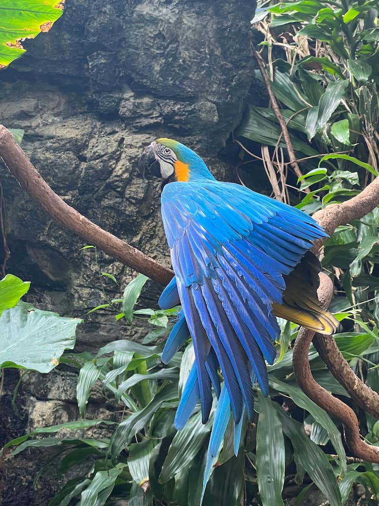 Central Park Zoo Central Park Zoo