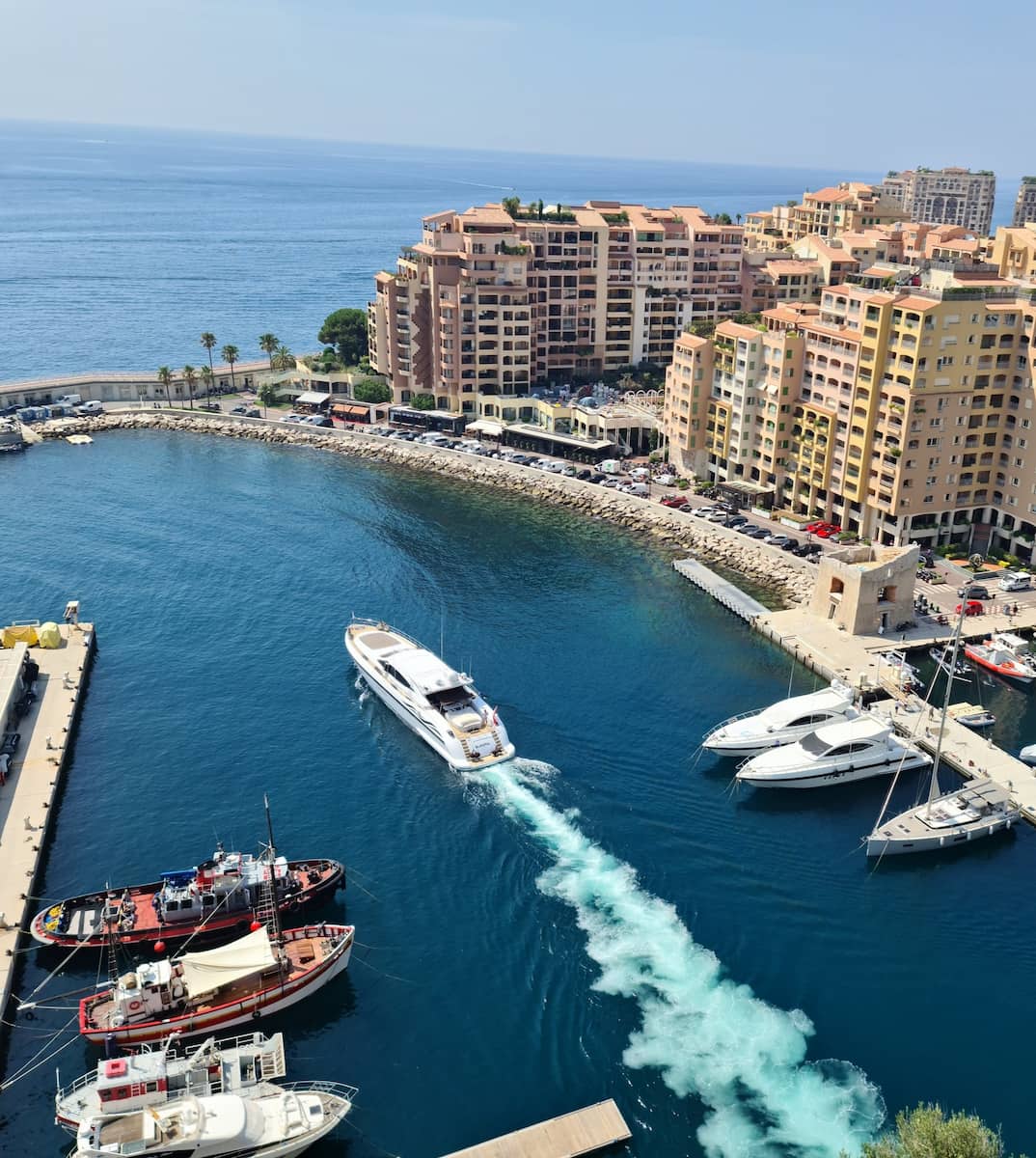 Monte Carlo Monte Carlo