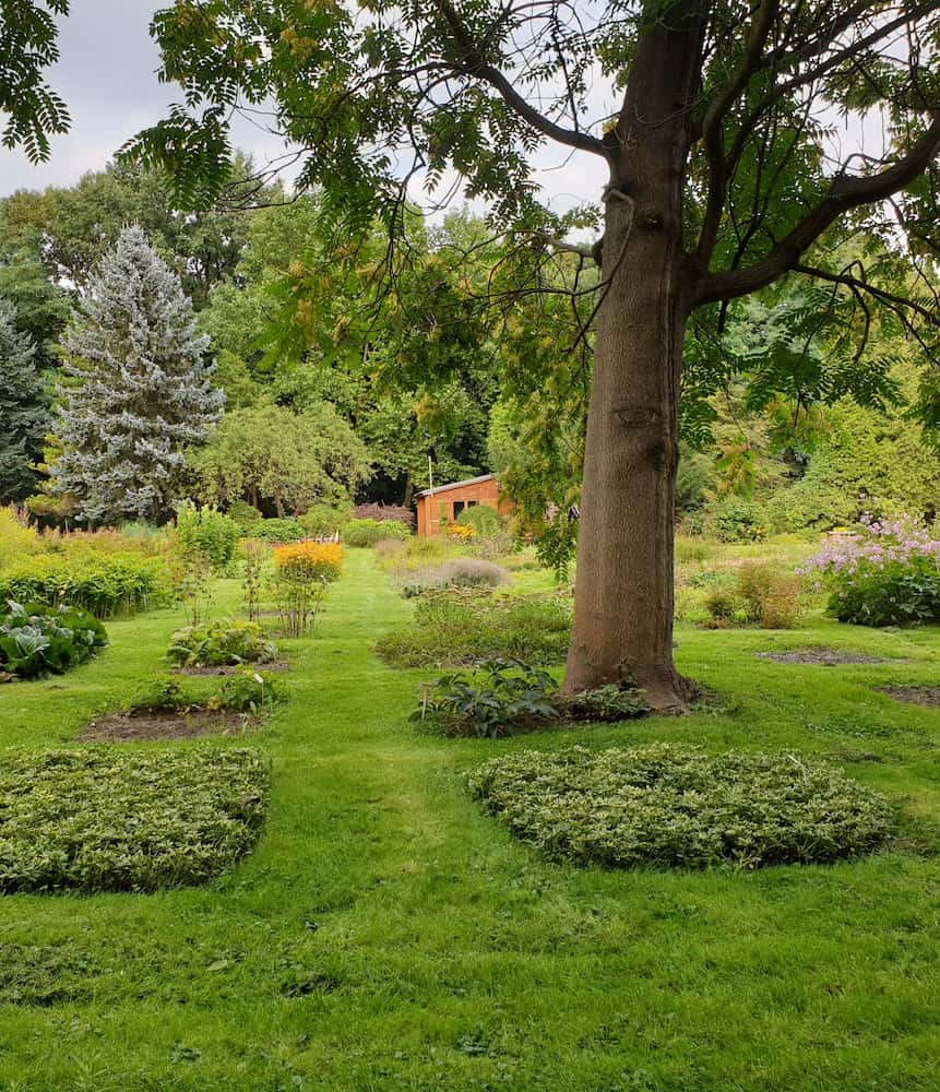 Planty SGGW Planty SGGW