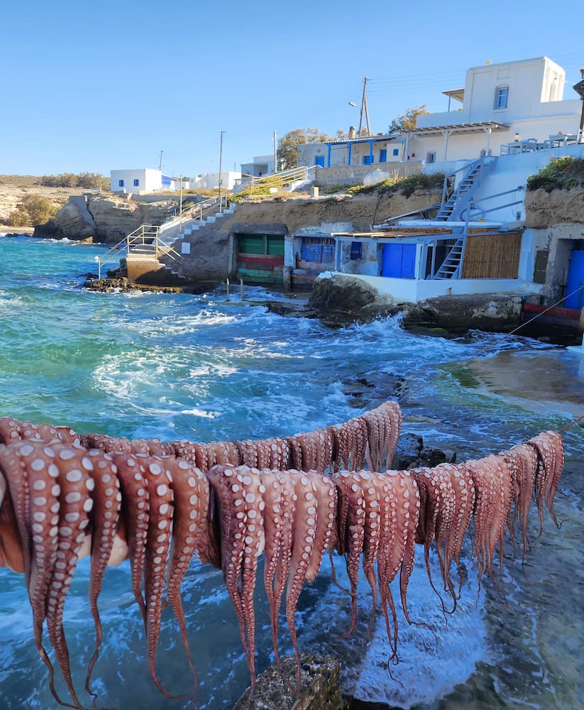 Medousa tavern Medousa tavern