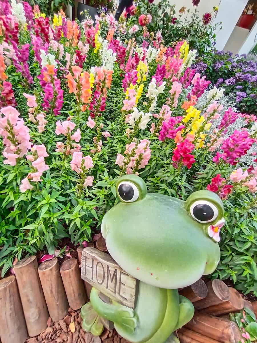 Parco forestale di Daan, Taipei Parco forestale di Daan, Taipei