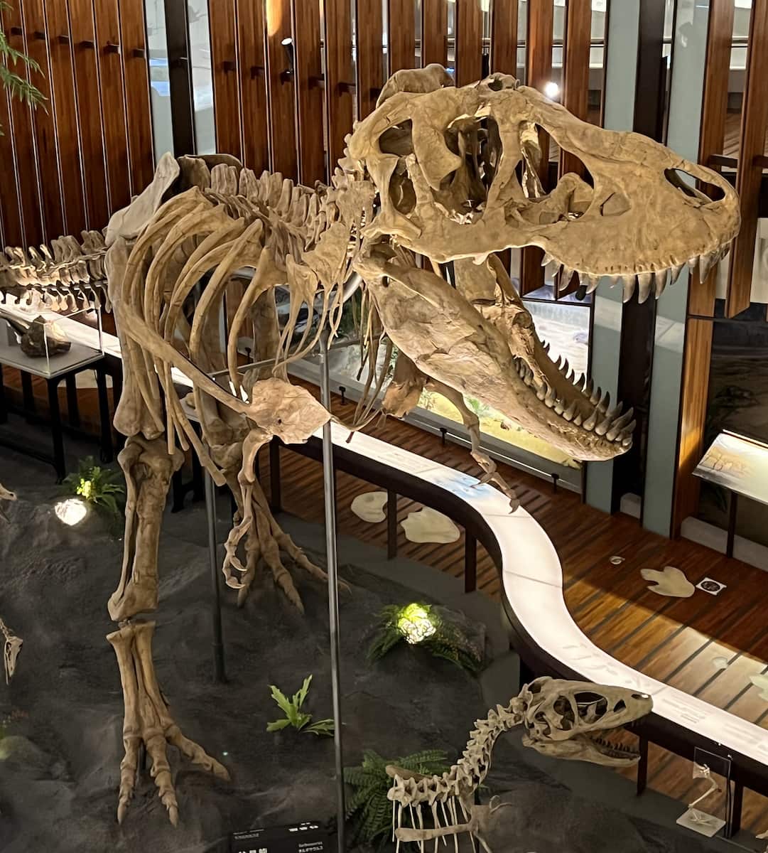 National Taiwan Museum National Taiwan Museum