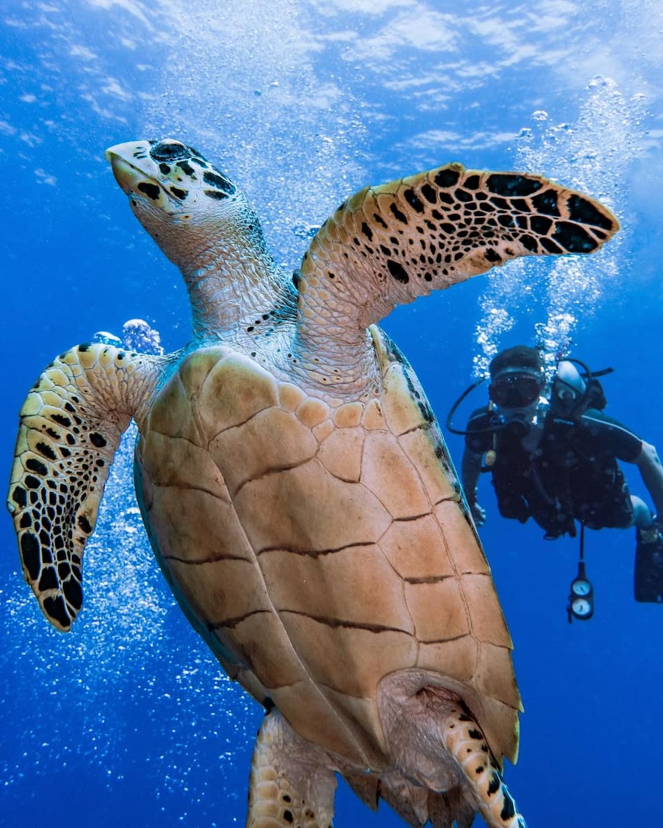 Chankanaab National Park Chankanaab National Park