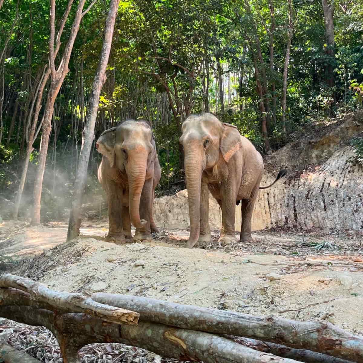 Koh Lanta Krabi Thailand
