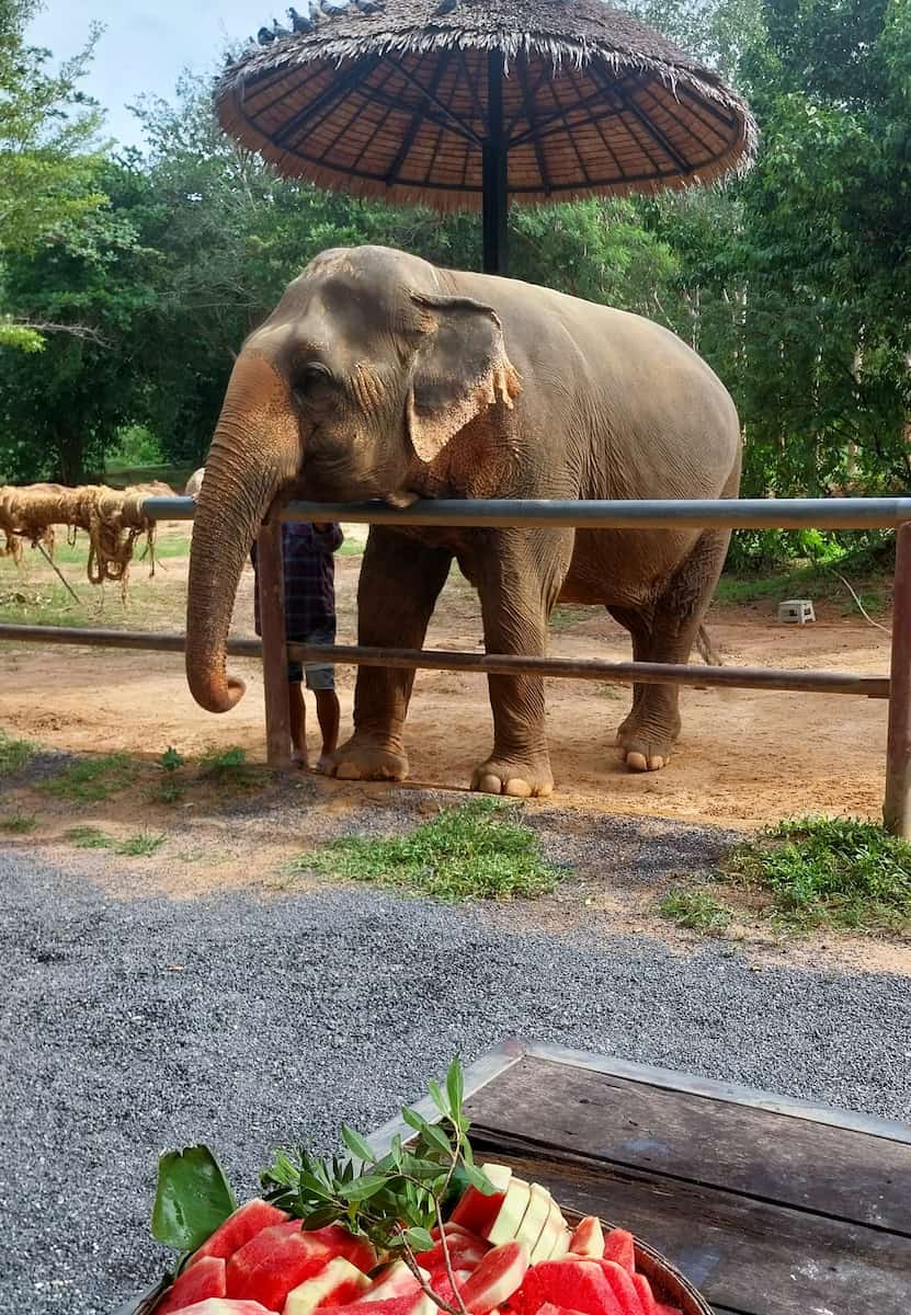 Choeng Mon, Koh Samui Choeng Mon, Koh Samui
