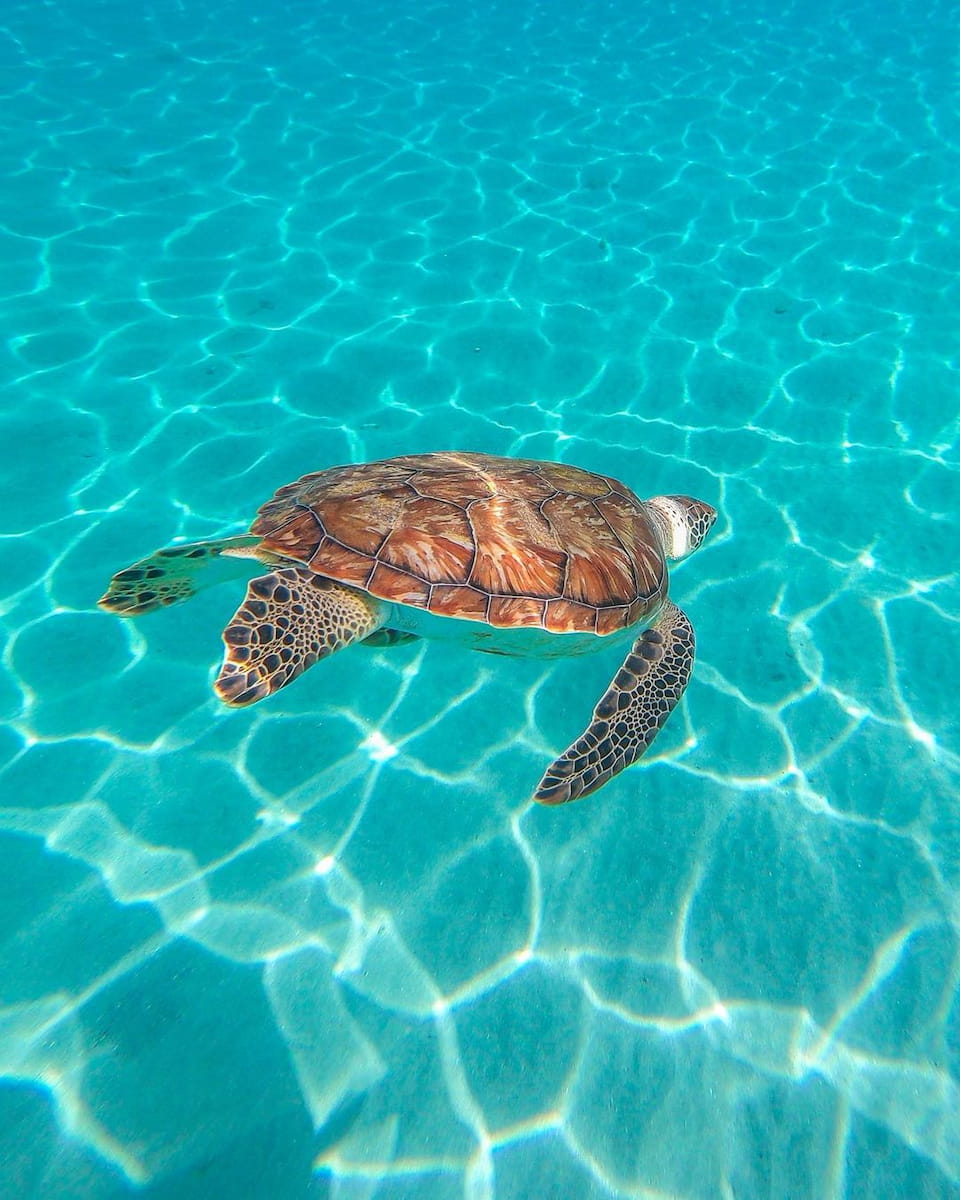 Westpunt, Curacao Westpunt, Curacao