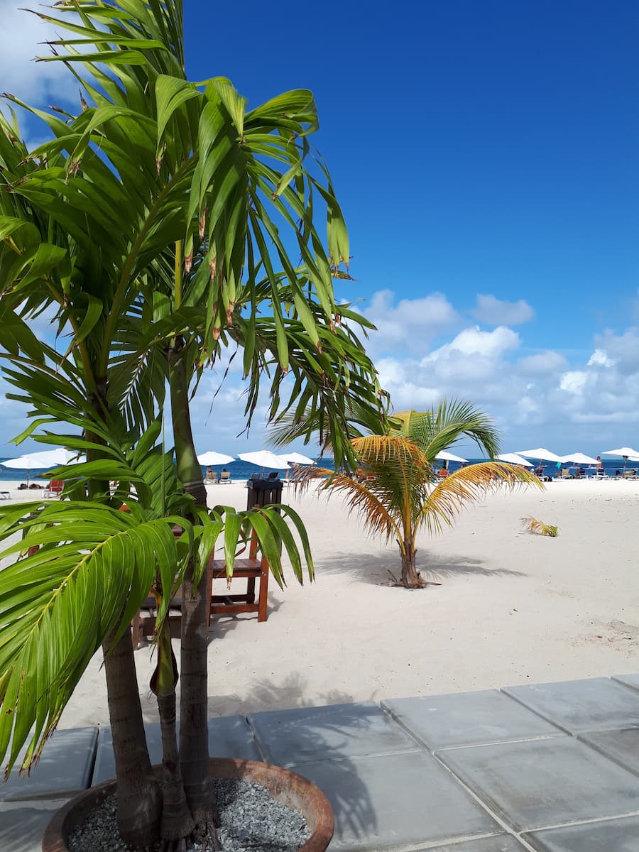 Eagle Beach, Aruba Eagle Beach, Aruba