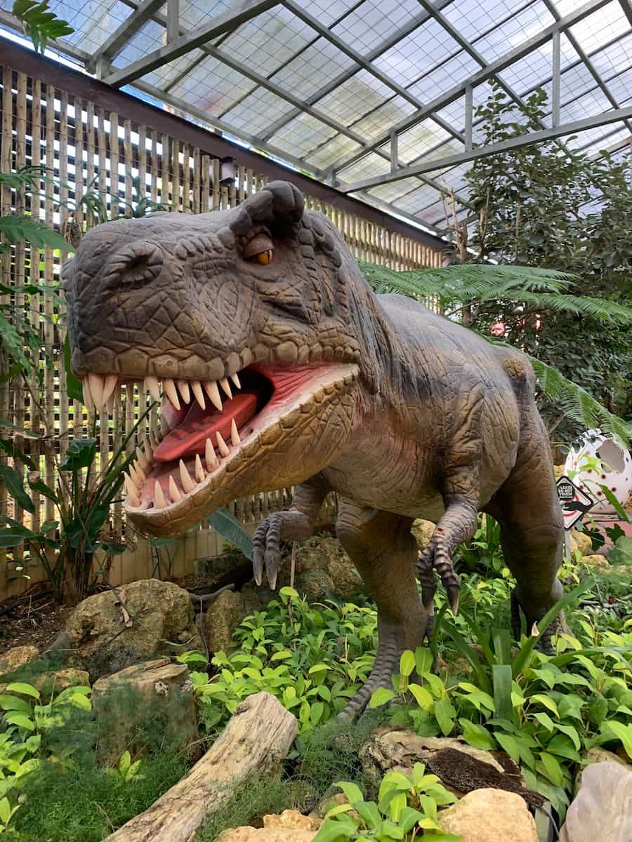 Northern Okinawa Northern Okinawa