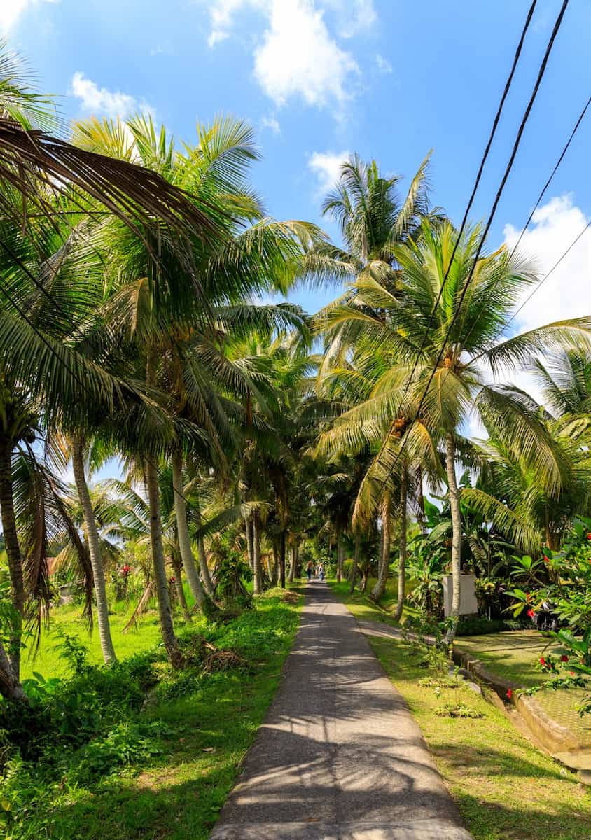 Penestanan_Ubud (5) Penestanan, Ubud