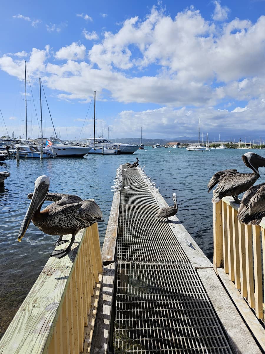 Ponce, Porto Rico Ponce, Porto Rico