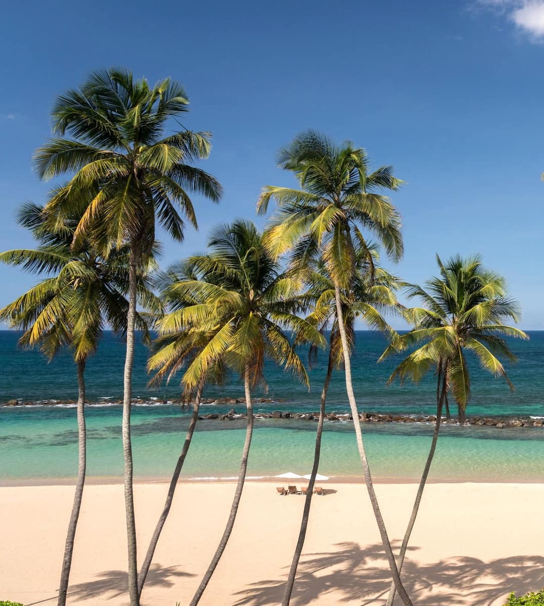 Dorado, Porto Rico Dorado, Porto Rico