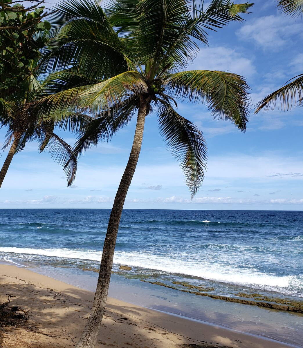 Dorado, Porto Rico Dorado, Porto Rico