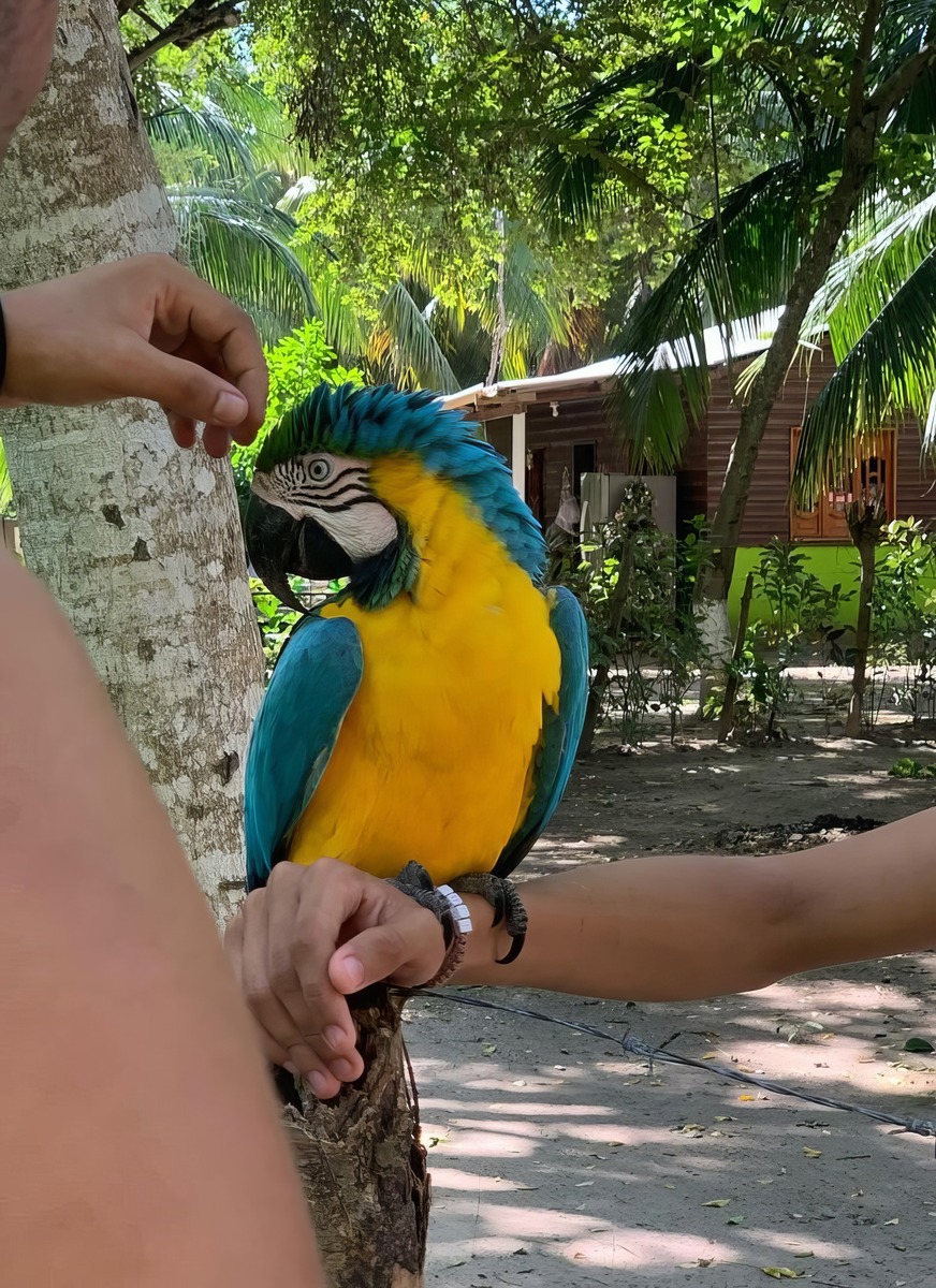 Le Isole del Rosario, Cartagena Le Isole del Rosario, Cartagena