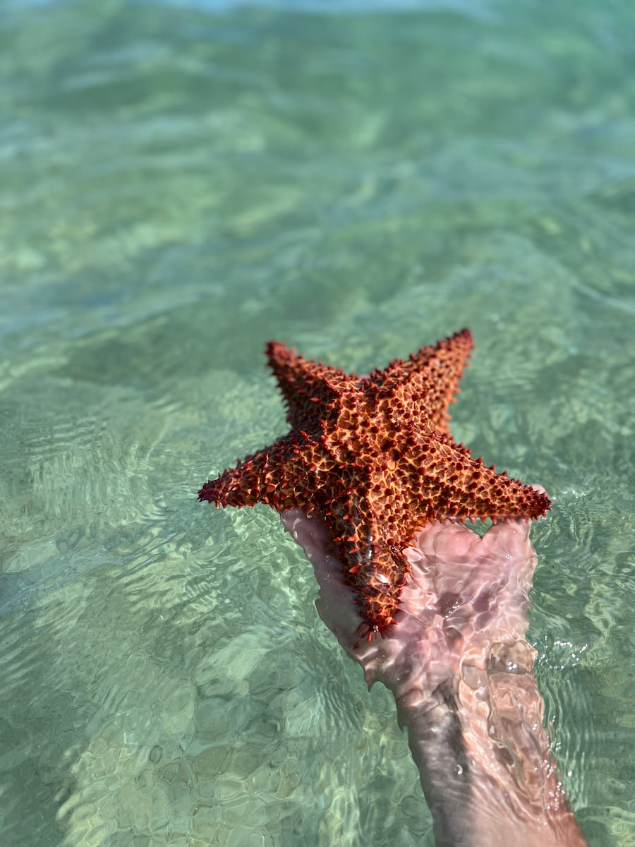 Vieques, Porto Rico Vieques, Porto Rico