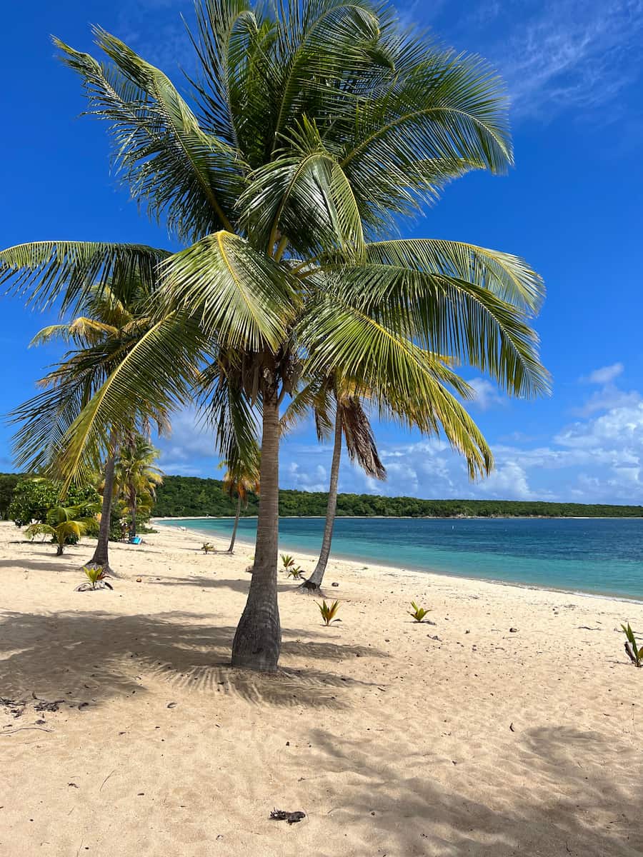 Vieques, Porto Rico Vieques, Porto Rico