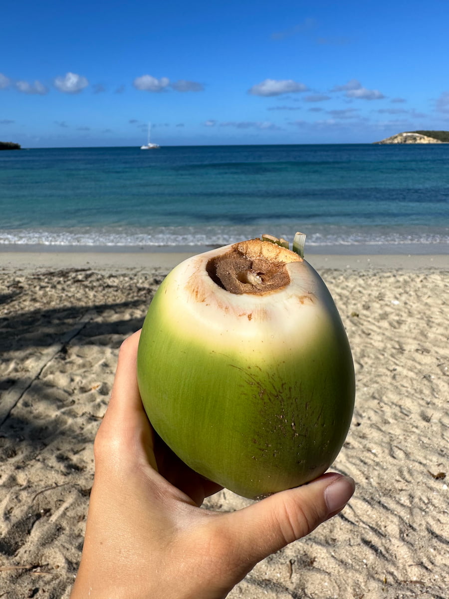 Vieques, Porto Rico Vieques, Porto Rico