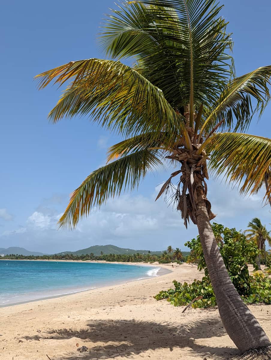 Vieques, Porto Rico Vieques, Porto Rico