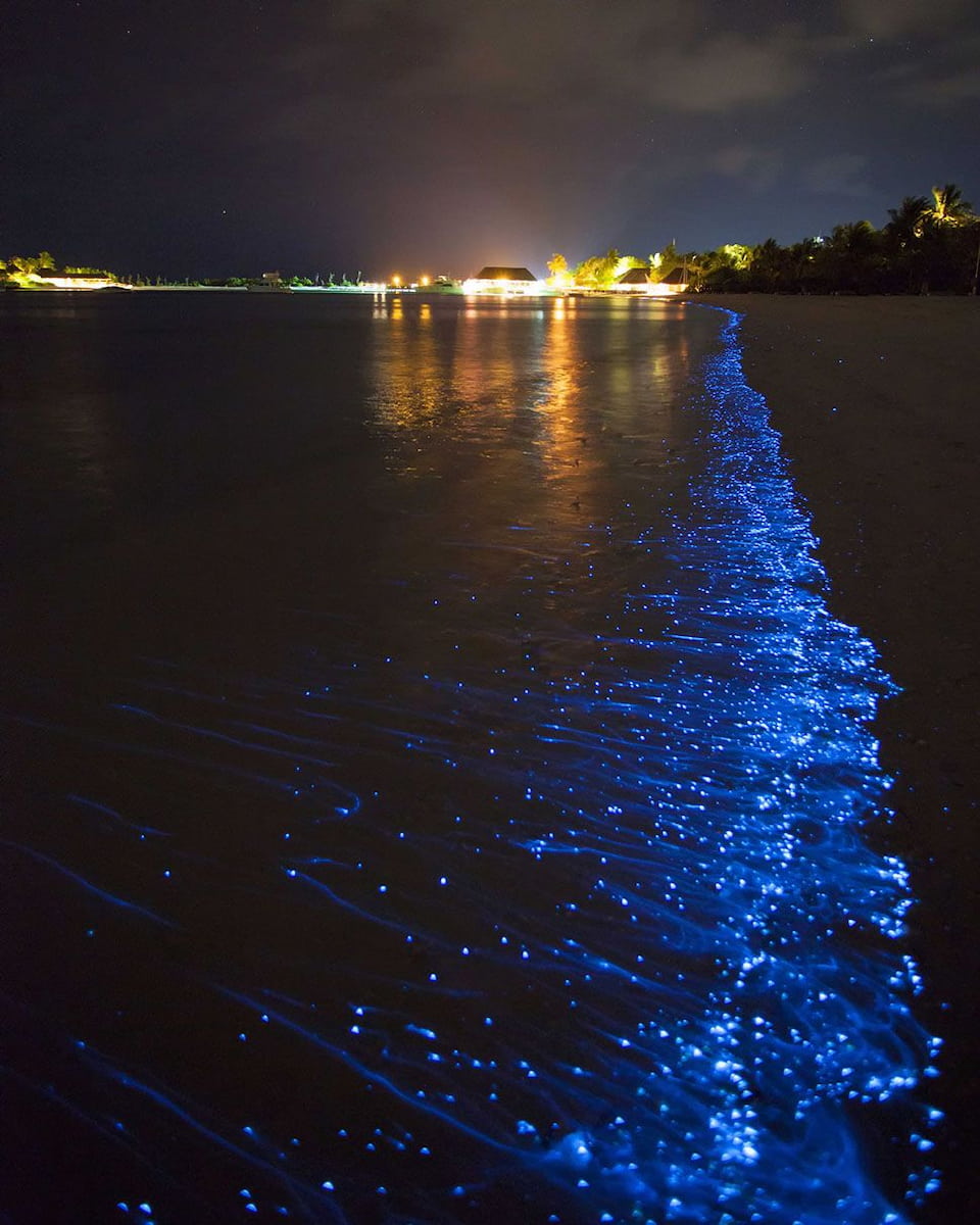 Vieques, Porto Rico Vieques, Porto Rico