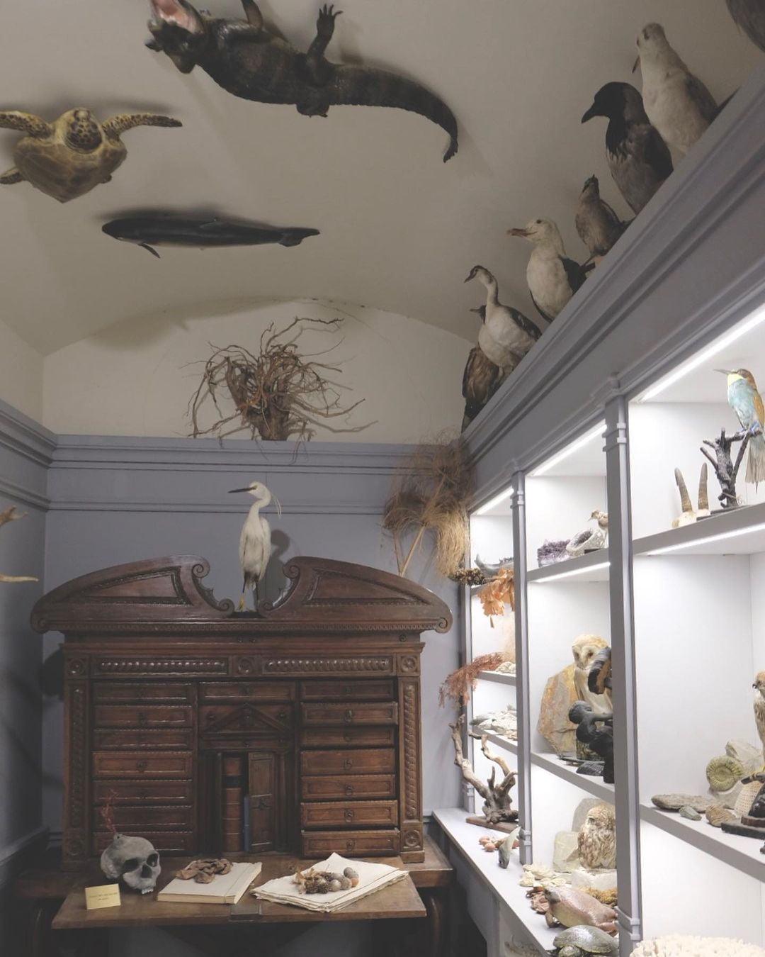 Buen Pastor Cathedral