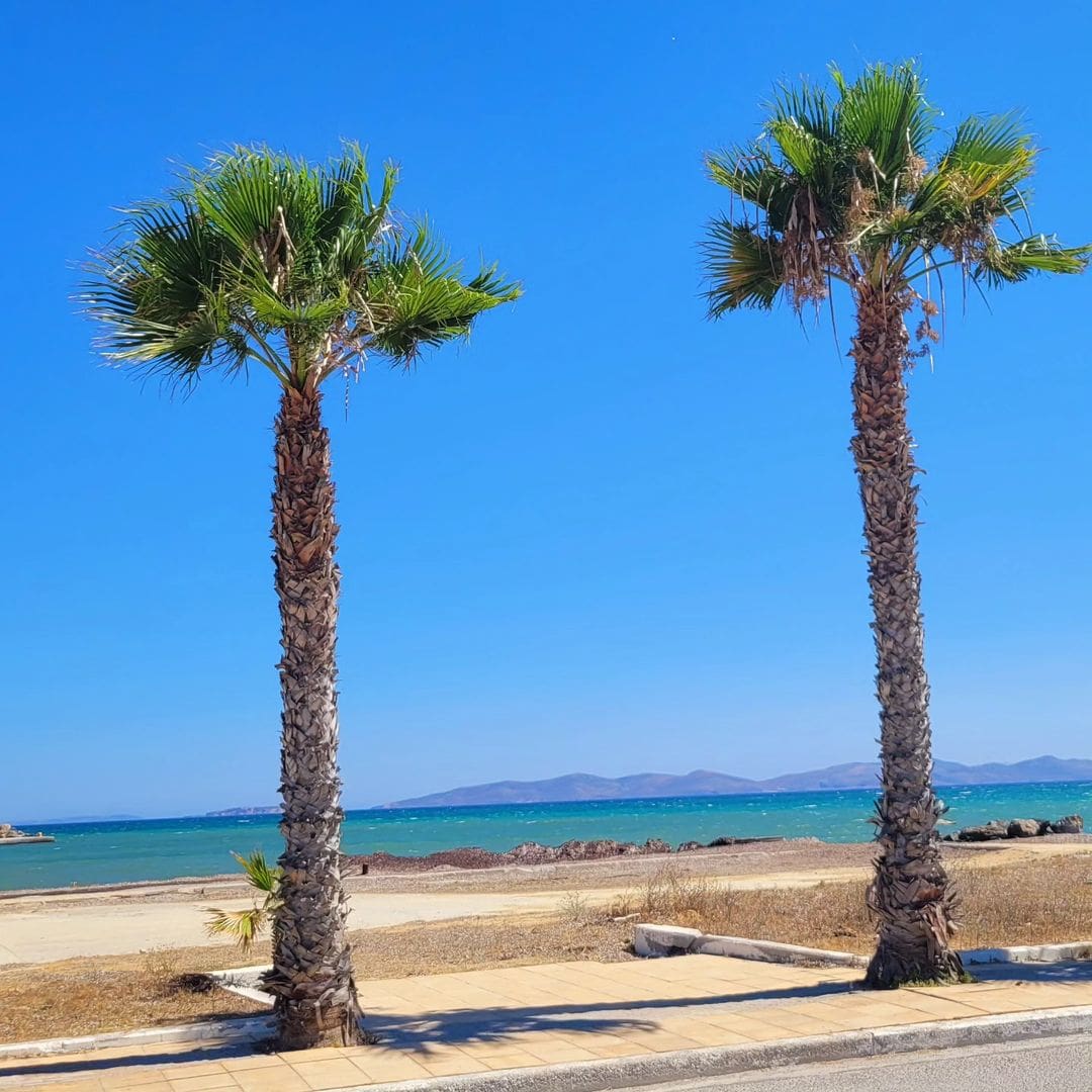 Mastichari, Kos