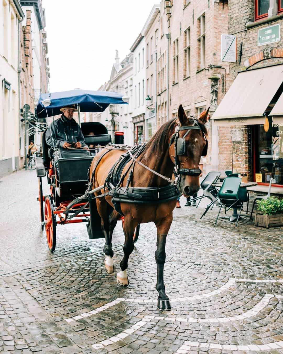 Sint-Anna Quarter, Bruges