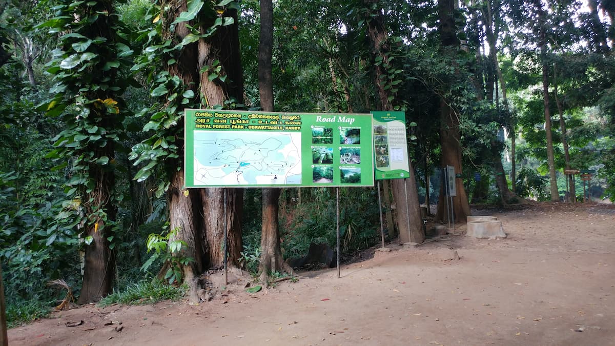 Udawattekele Sanctuary