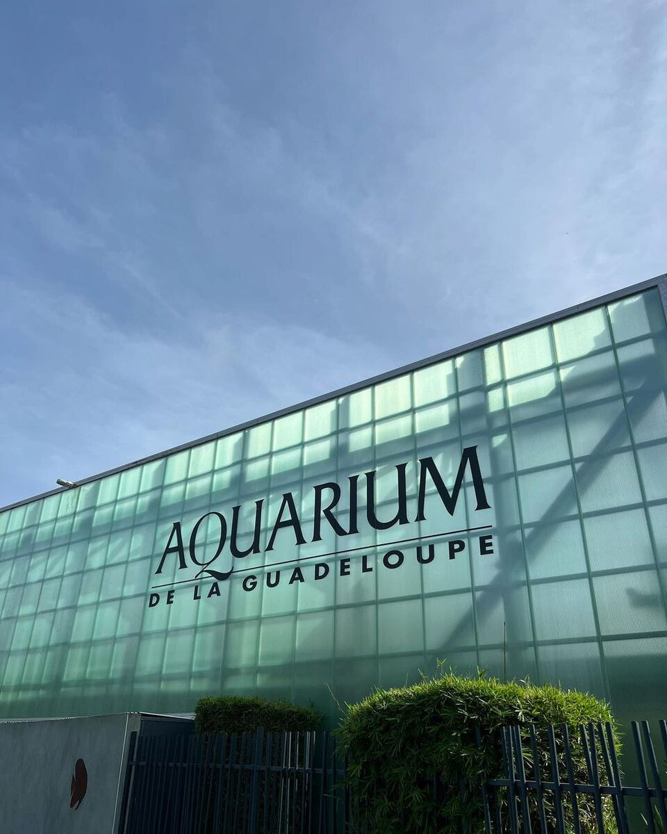 Aquarium of Guadeloupe Aquarium of Guadeloupe