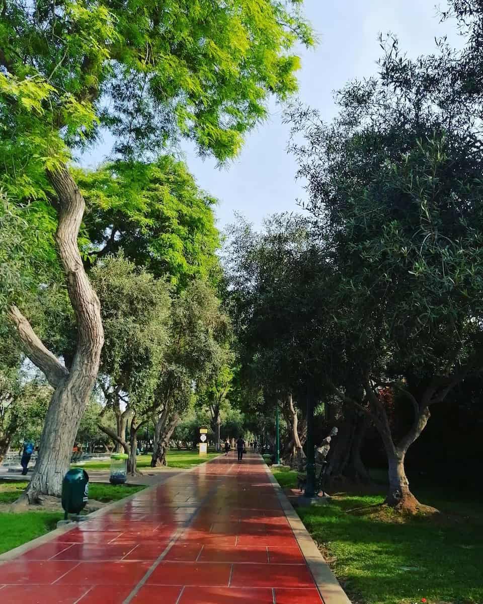 El Olivar Park, Lima El Olivar Park, Lima
