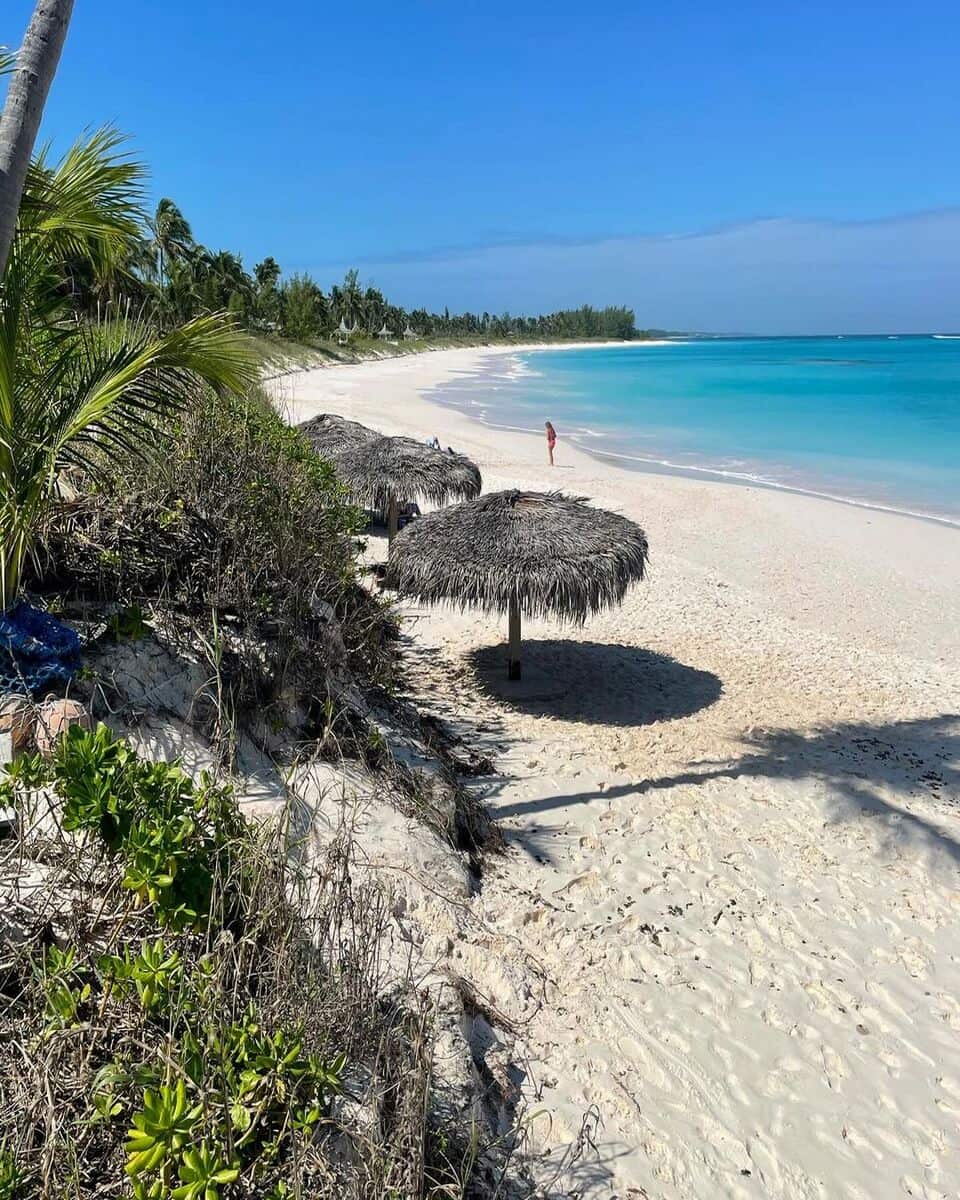 French Leave Beach French Leave Beach