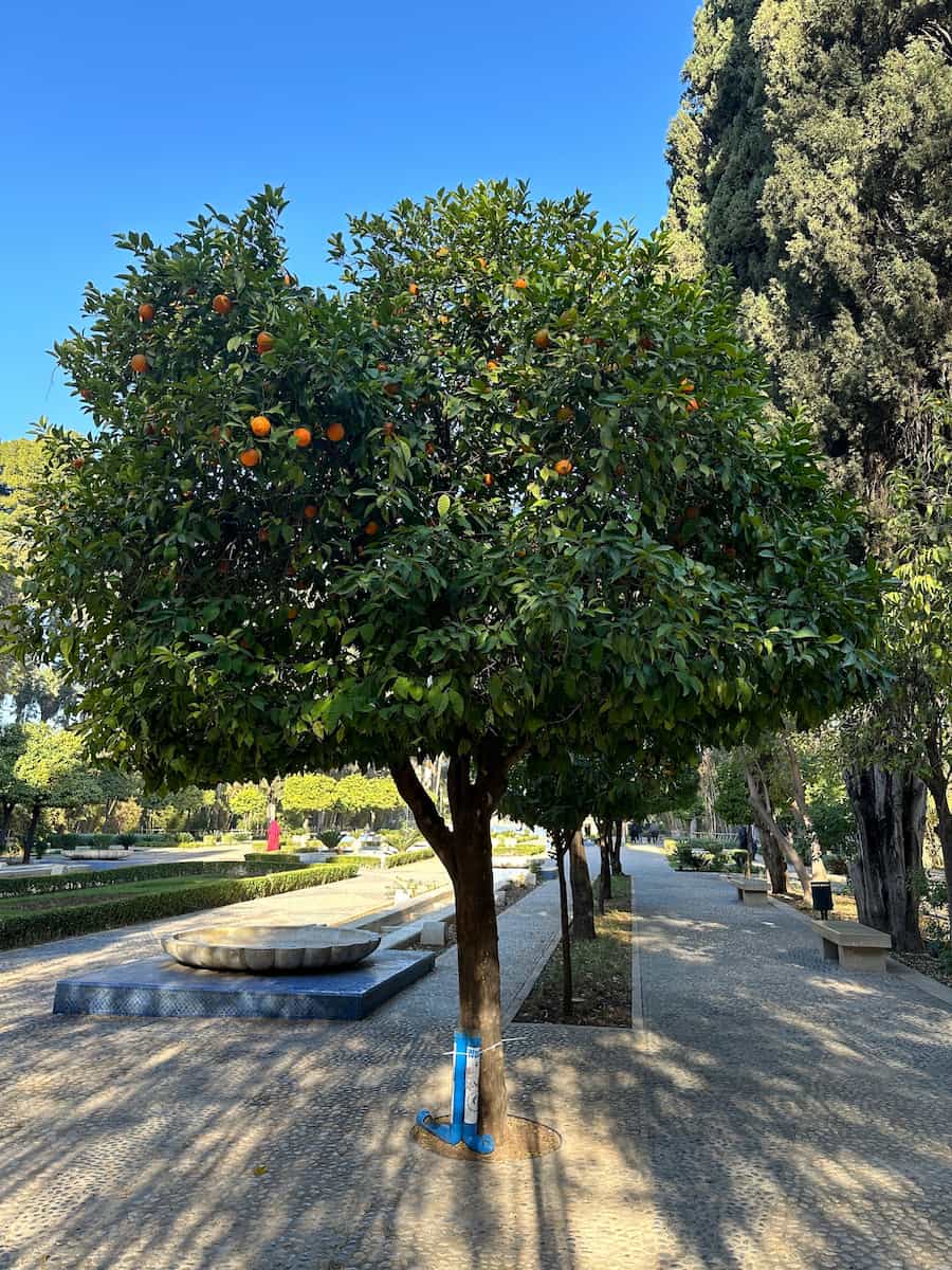 Jardin Jnan Sbil Jardin Jnan Sbil