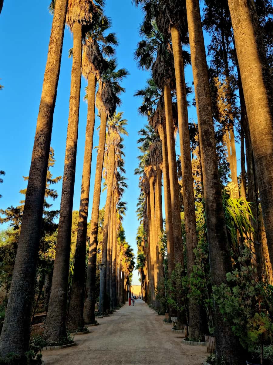 Jardin Jnan Sbil Jardin Jnan Sbil