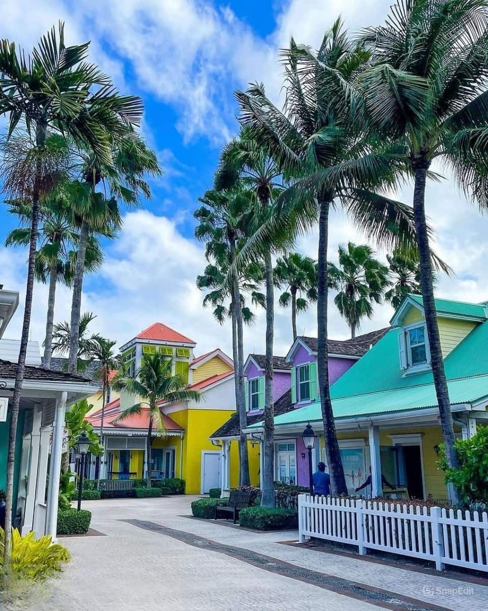 Paradise Island Paradise Island