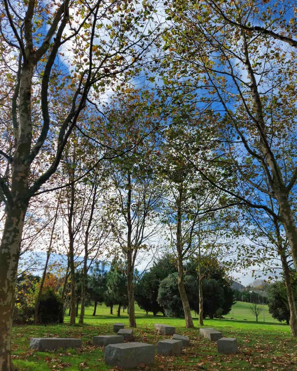 Parque Urbano Parque Urbano