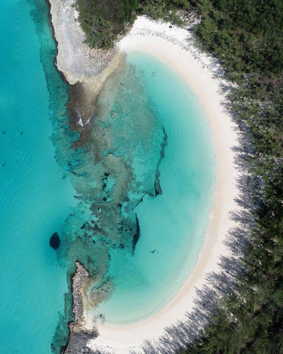 Rose Island Rose Island