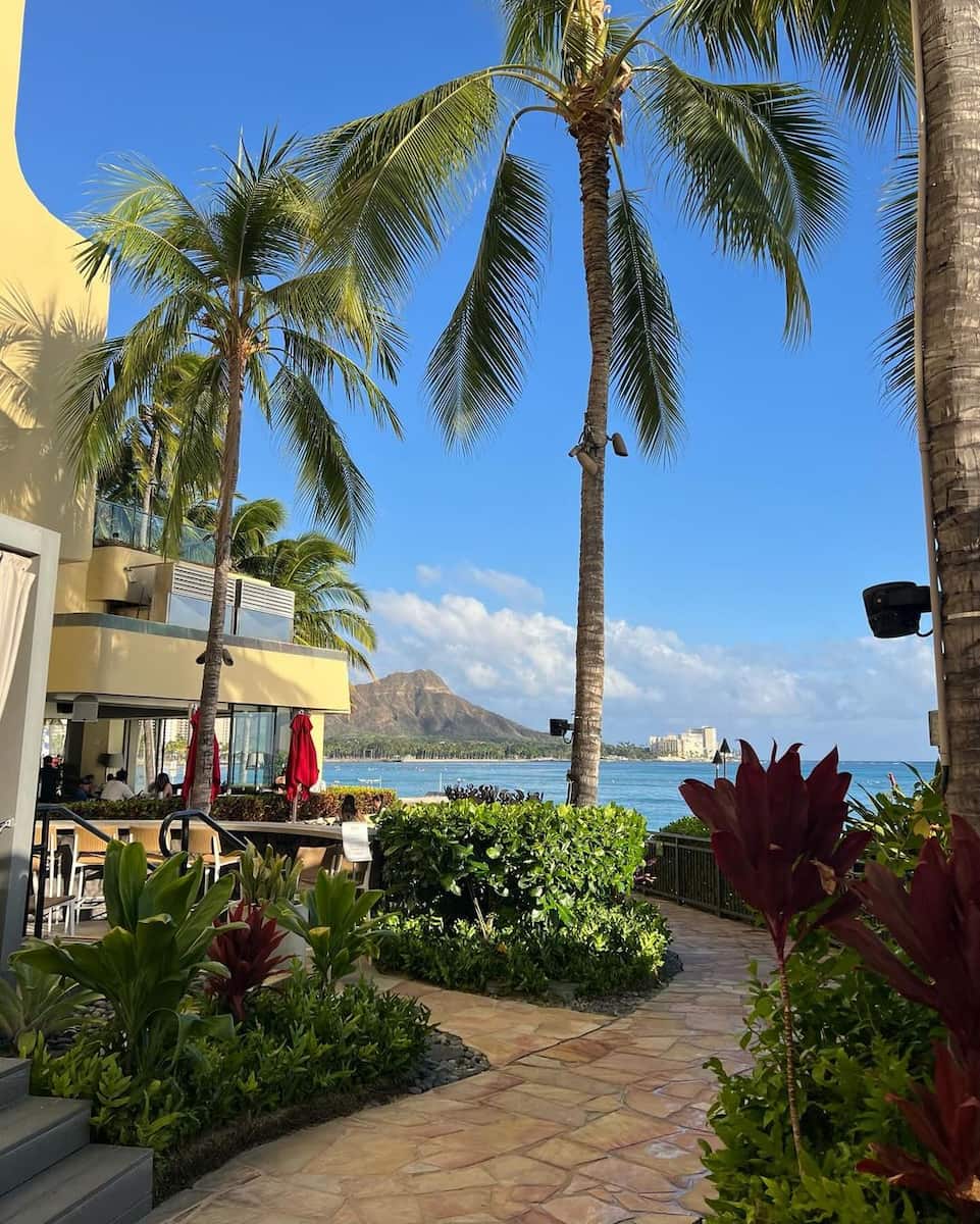 Sheraton Waikiki Sheraton Waikiki