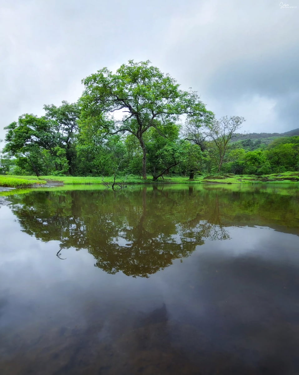 Sanjay Gandhi National Park, Mumbai Sanjay Gandhi National Park, Mumbai