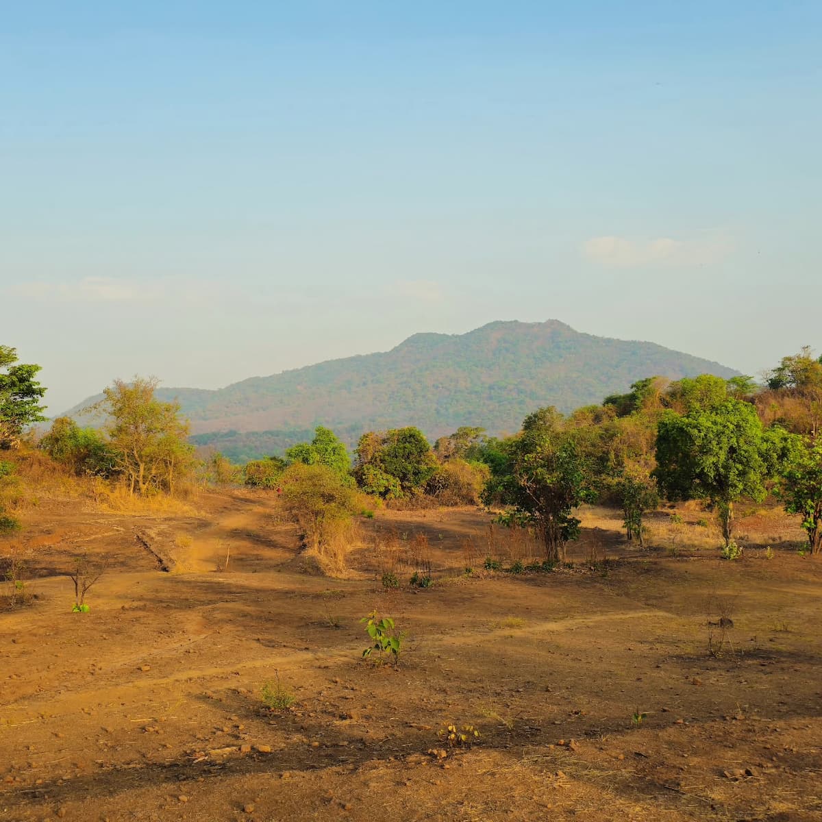 Sanjay Gandhi National Park, Mumbai Sanjay Gandhi National Park, Mumbai