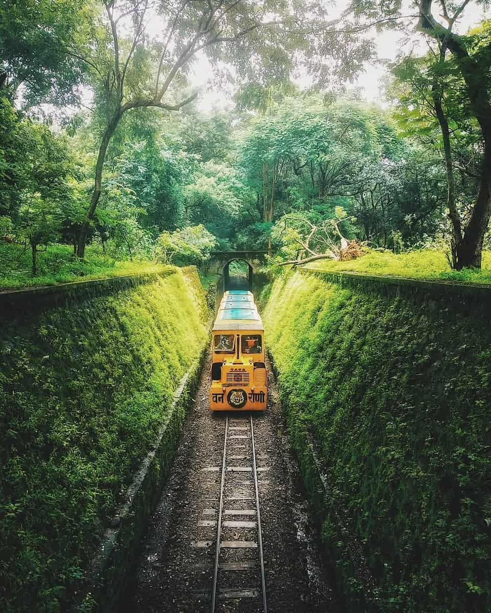 Sanjay Gandhi National Park, Mumbai Sanjay Gandhi National Park, Mumbai