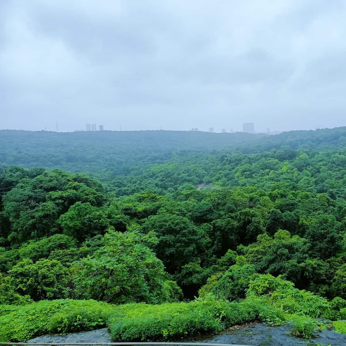 Sanjay Gandhi National Park, Mumbai Sanjay Gandhi National Park, Mumbai