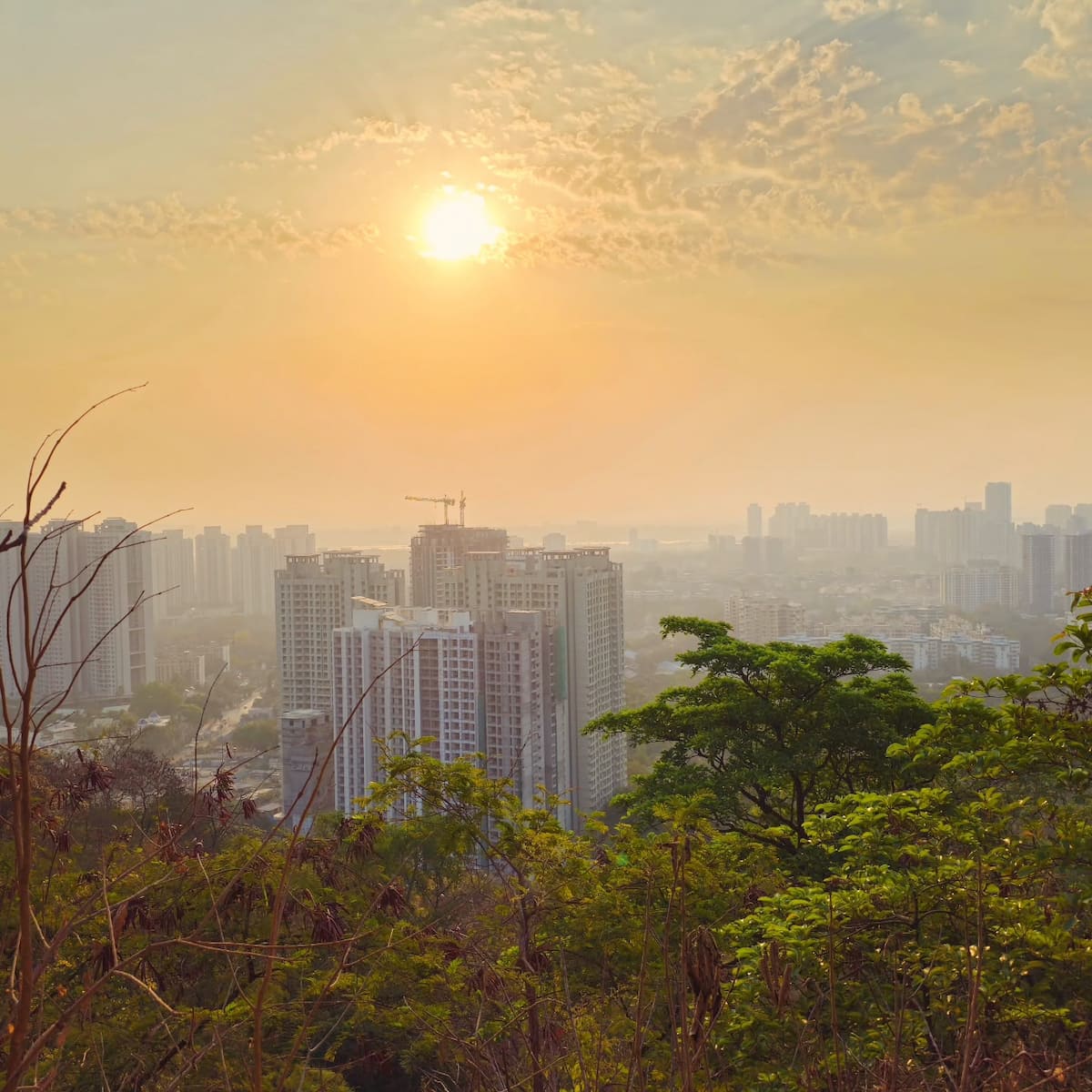 Sanjay Gandhi National Park, Mumbai Sanjay Gandhi National Park, Mumbai