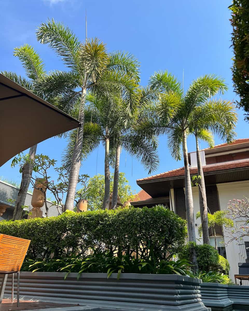 Siem Reap: Charles de Gaulle Boulevard Siem Reap: Charles de Gaulle Boulevard