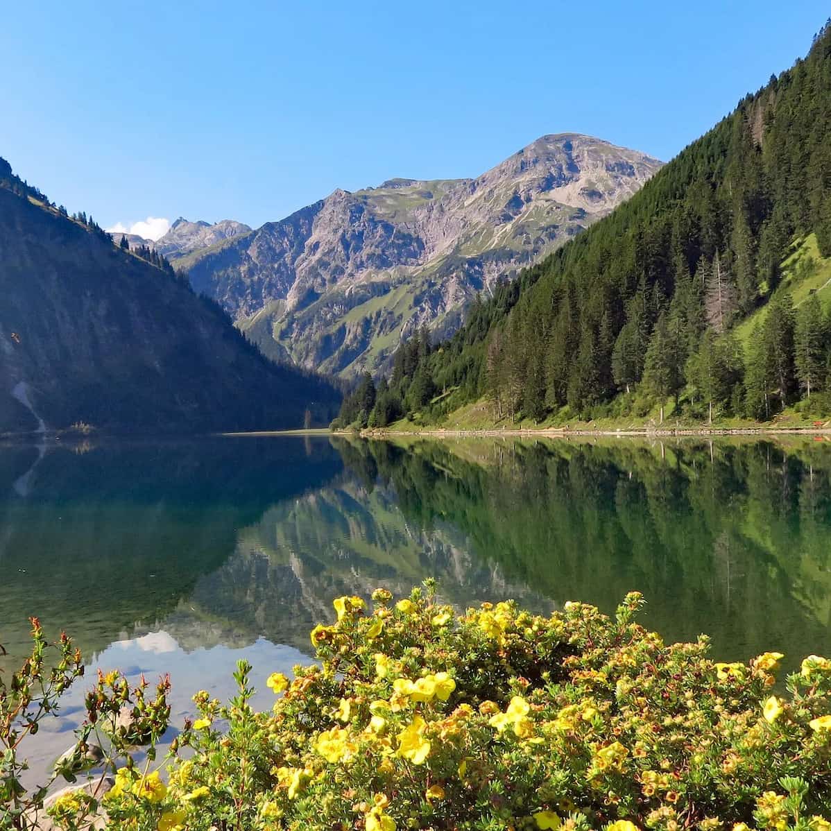 Tirol Innsbruck Austria Tirol Innsbruck Austria